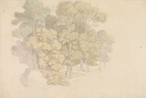 En gruppe af træer af Thomas Rowlandson